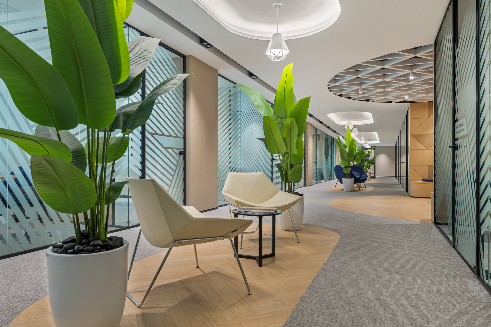 Corridor with large leafy plants, pale chairs and a patterned glass wall
