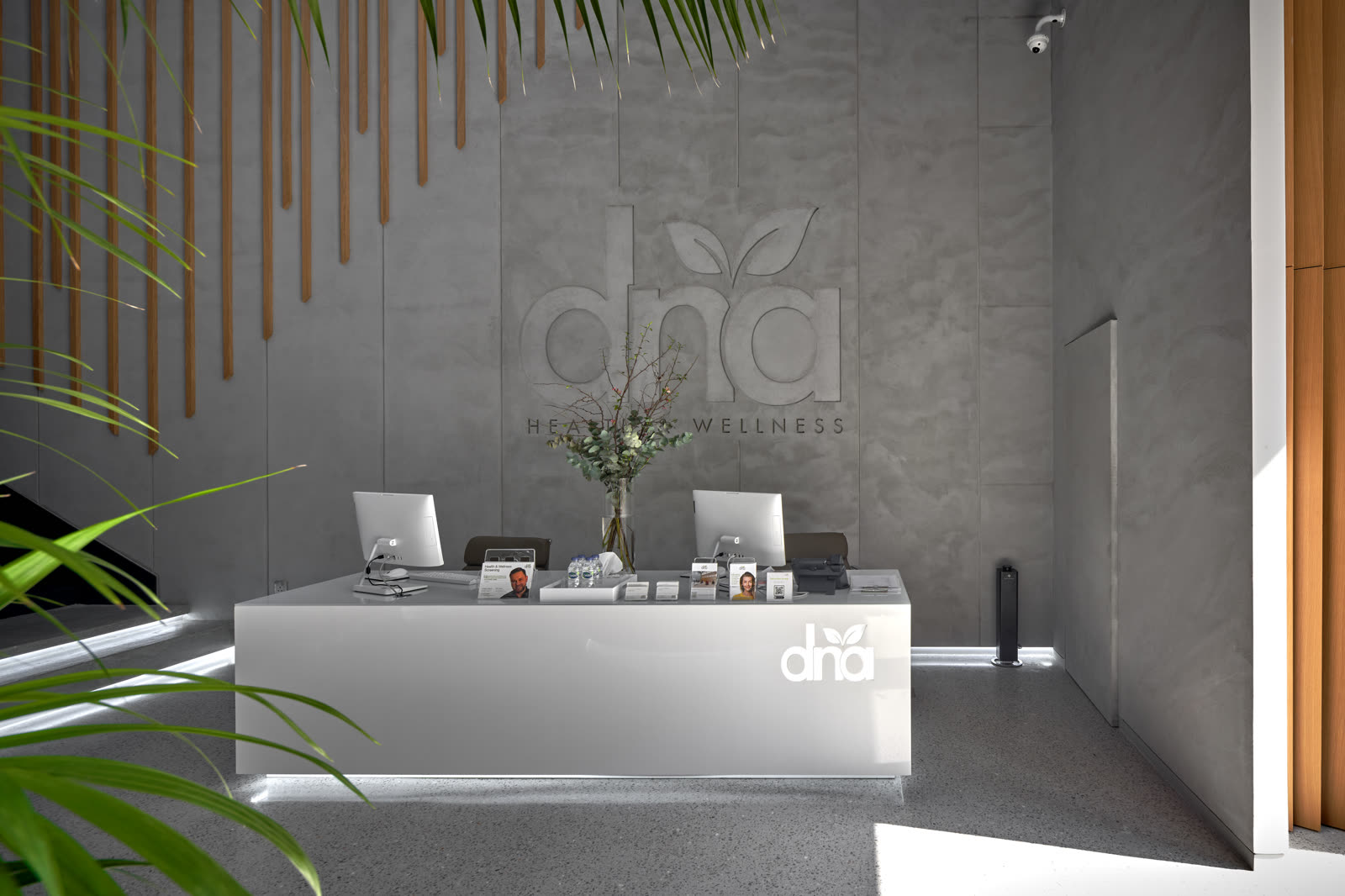 Reception desk with the DNA logo on a grey wall, framed by plants and timber slats