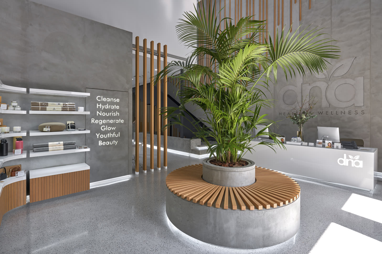 Round timber bench and a large palm in front of a grey concrete reception wall